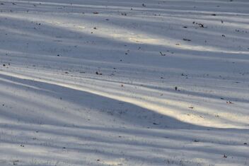 Afternoon Light - image gratuit #487189